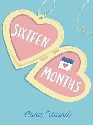cover image of Sixteen Months